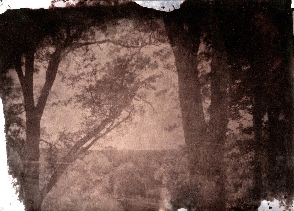 Salt Print, at Philip Johnson Glass House